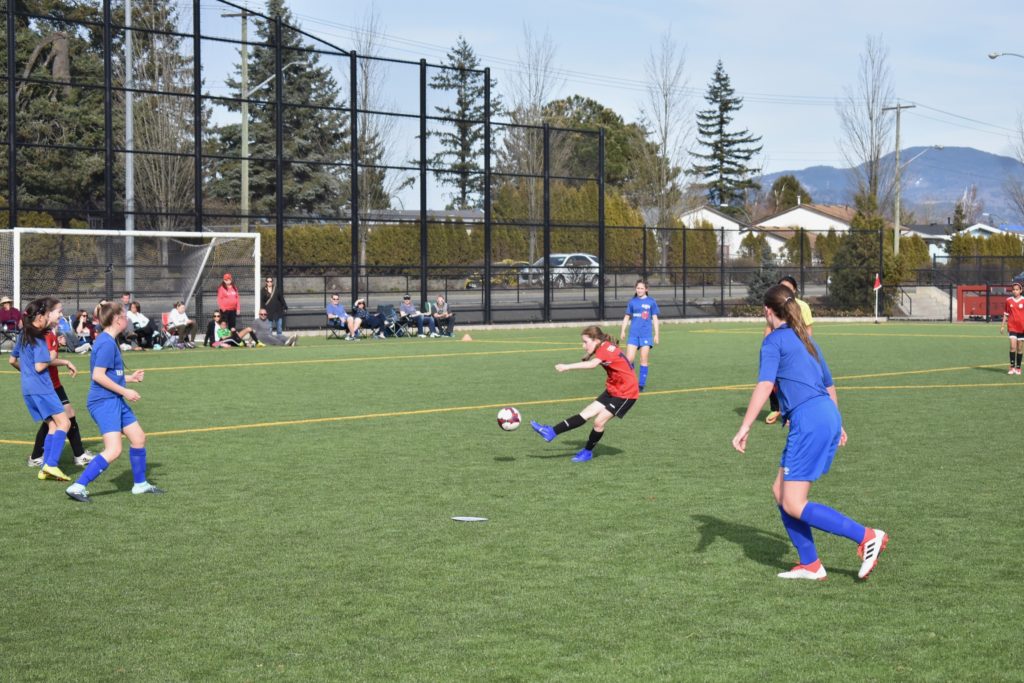 COMMUNITY SOCCER LEAGUE for Group Ages: U11 - U18